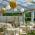 Private Tented Dinner Party