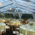 Tented Wedding Reception