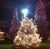 Christmas On Shaker Square