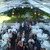 Wedding in a Clear Span Tent